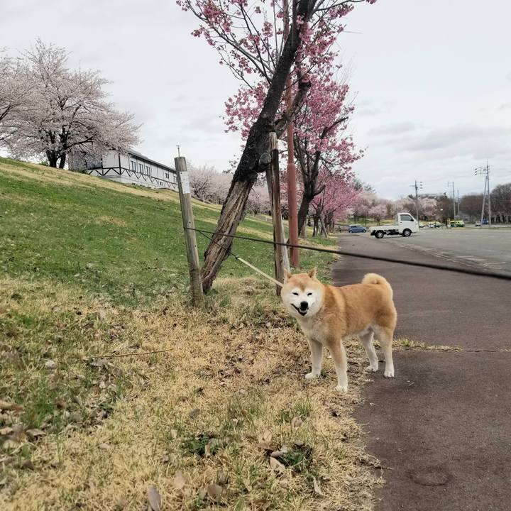 De855d29 dafc 4212 82c7 fbcd28503bc6 1680833498801