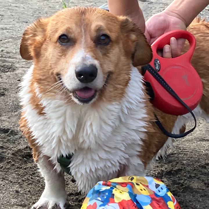 De859273 26b4 4816 8362 5bc718a6023c 1756340771583