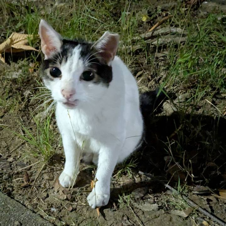 De85b50a 3abf 430c 9d6f 220bc38cf039 1753885814687