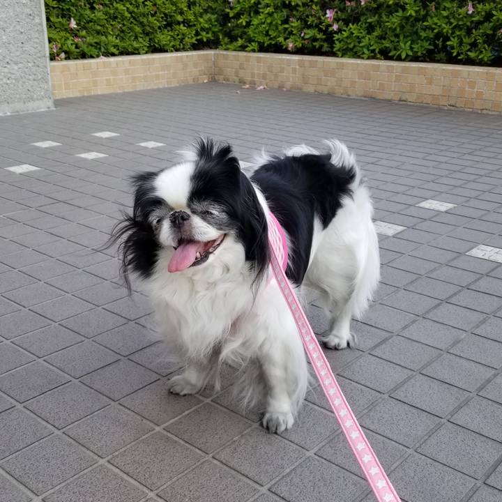 De861aa1 c858 43f0 aa95 008d57ec3237 1557655610383