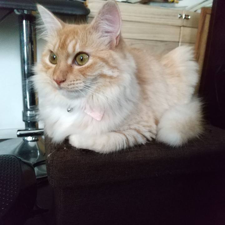 De861c0b ff19 4bc1 b9e0 f8e5600f114d 1625896629471