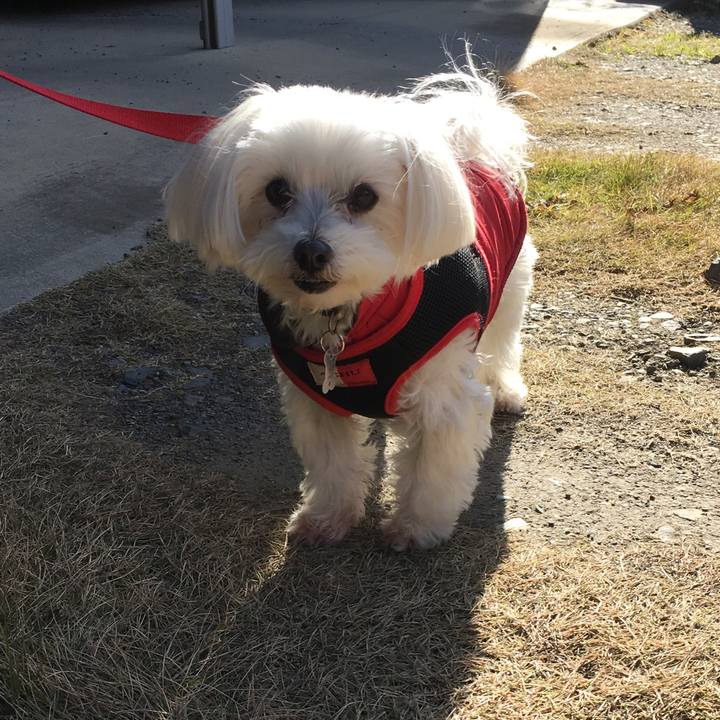 De8625ea ee83 45bd 9cdb 1665d271ad11 1546140629475