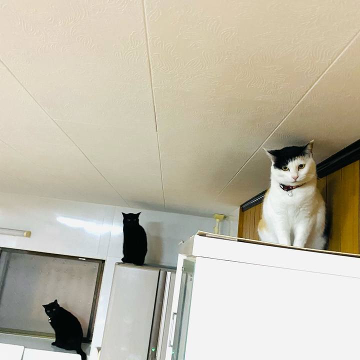 De864582 cfc3 47bc bc94 cf2298f8682b 1650834456907