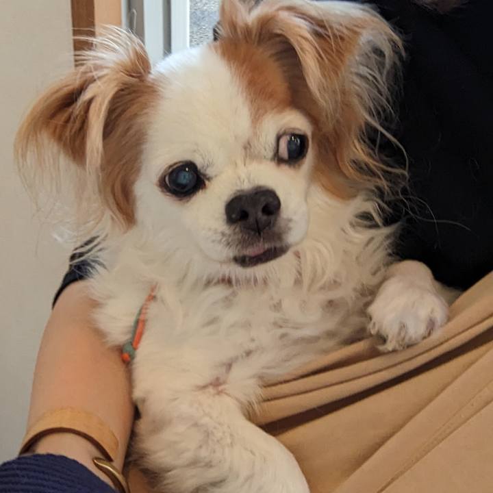 De8664a6 5aeb 45ce 8f14 d8c7f6505145 1681374680445