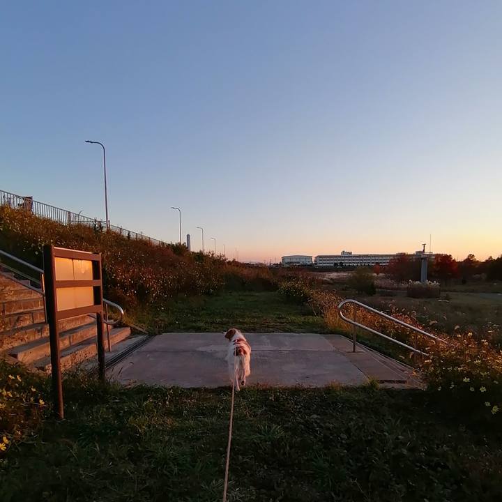 De86811b 3a95 45c3 aa37 db6c78c194c3 1607243760371