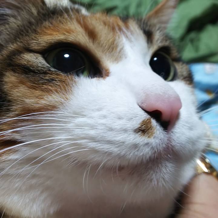 De8687a7 ae24 41cb 88cf bbab54e3e089 1582840326395