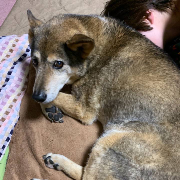 De8689a1 38dc 4a1a 828a e01965ff73d3 1557406394261