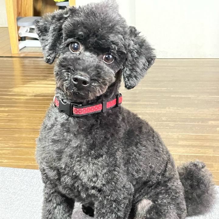 De86b19f 7b86 4d76 9706 8f86fdca754e 1664601325891