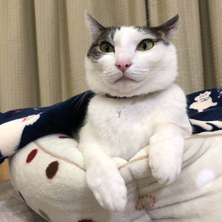 De86b9a2 1ed7 4ebe b1ab fcf24806ecc0 1639743494679