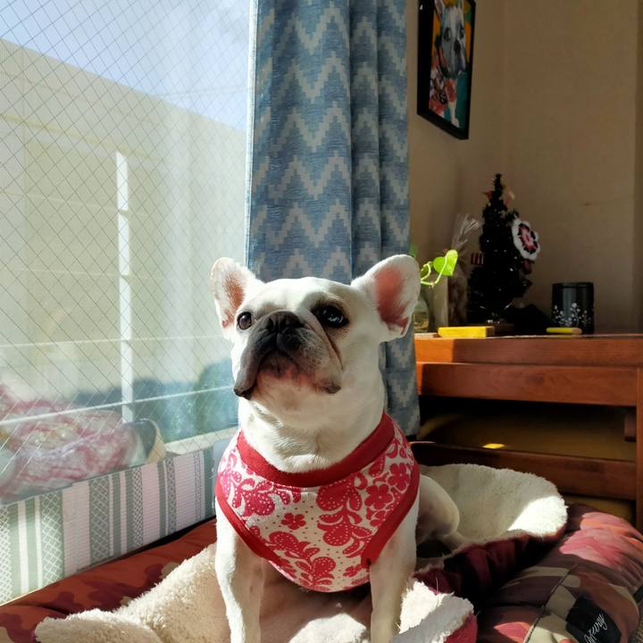 De86d881 9dd4 4f53 8bd1 f132d1fac030 1671366486616