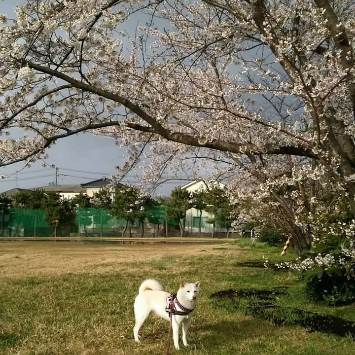 De86e506 455e 4654 8da3 2c54defb5c8d 1523091640598