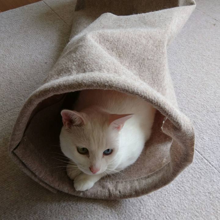 De86ee9d 1acf 4db6 add7 4582a12d1ec6 1538910395644