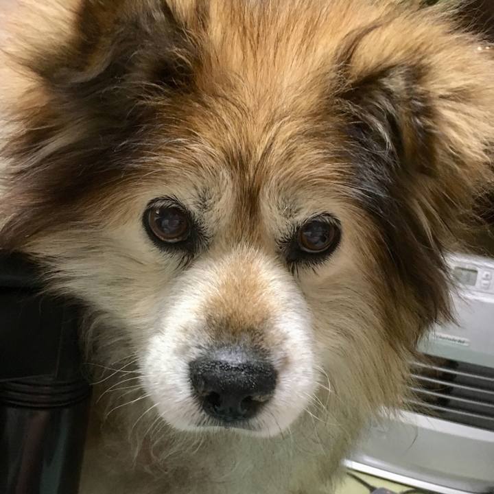 De86f149 f0db 484a 9009 de97dd14c9e9 1575806799880