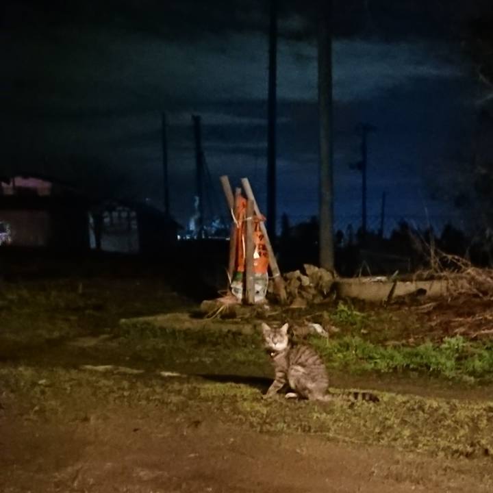 De870994 07cb 4168 b681 1bcc4e8c029c 1581672455060