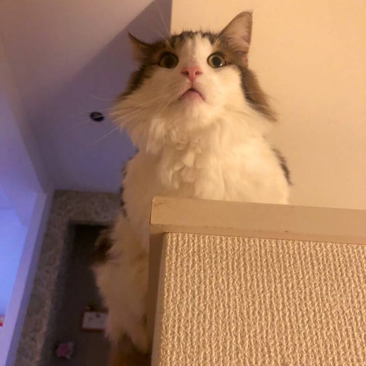 De870e2d 67a4 4602 8f00 e63c4ee1f961 1570516930656