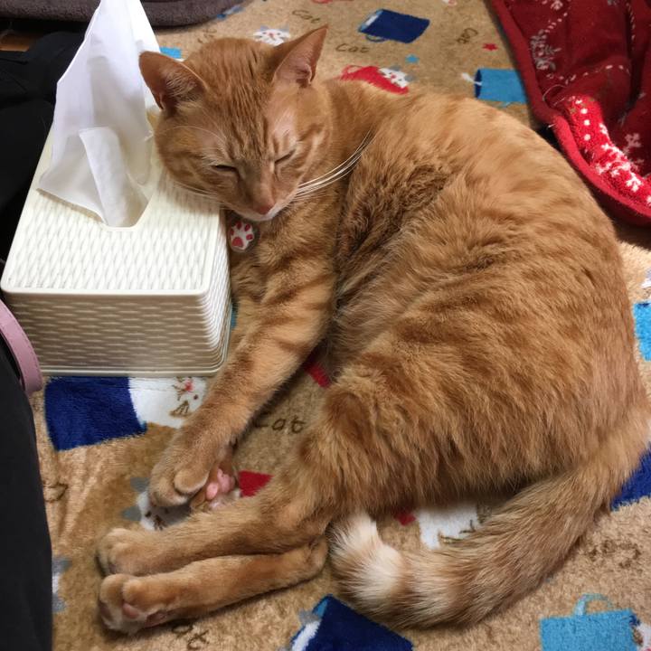 De871c42 0683 447a 8200 2b6e8aee71d0 1547954530422