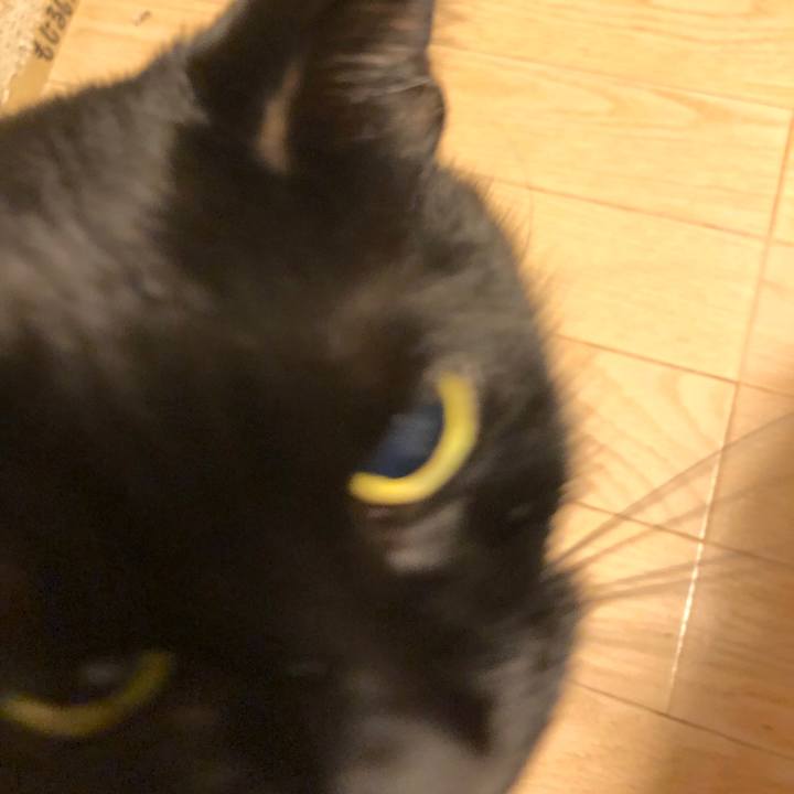 De871d6b b2e2 464c aaa0 7b6a8797e6a4 1581169577538