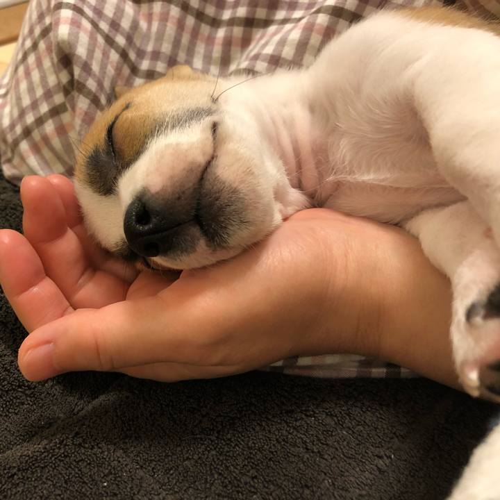 De874a17 f45d 4cd9 97ac 41ee1b960738 1544967846277