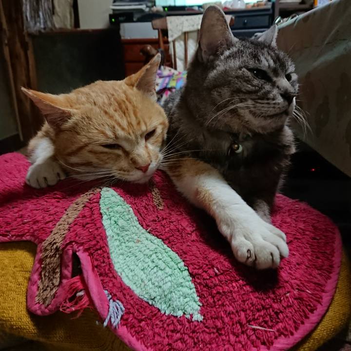 De874b8f 1498 4083 a85b 7a5ffdb2162b 1557226919998