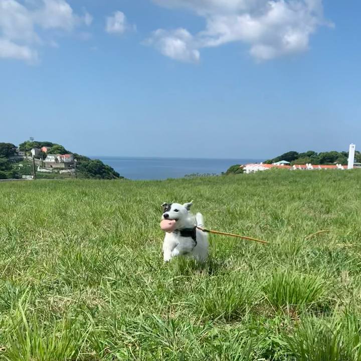 De875604 5fe0 4cdb 8872 4af2207ab6ef 1717547433510