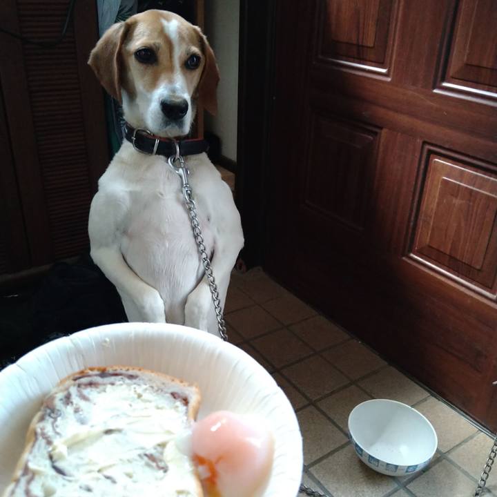 De87b8ec 8255 4bd7 b83b 5b6b0bc9fc55 1654838588340