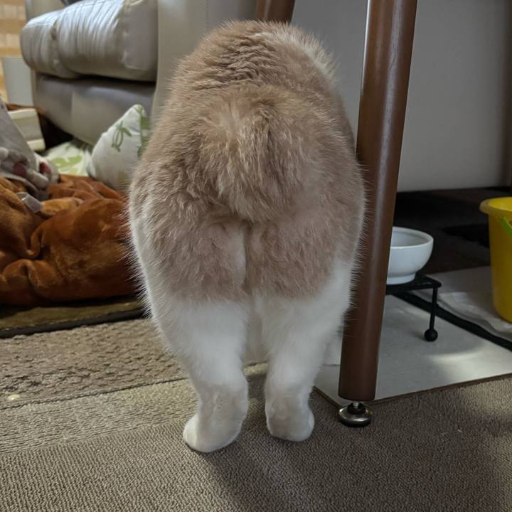 De87cc84 787d 4d79 bc11 82479ee069a4 1767569526434