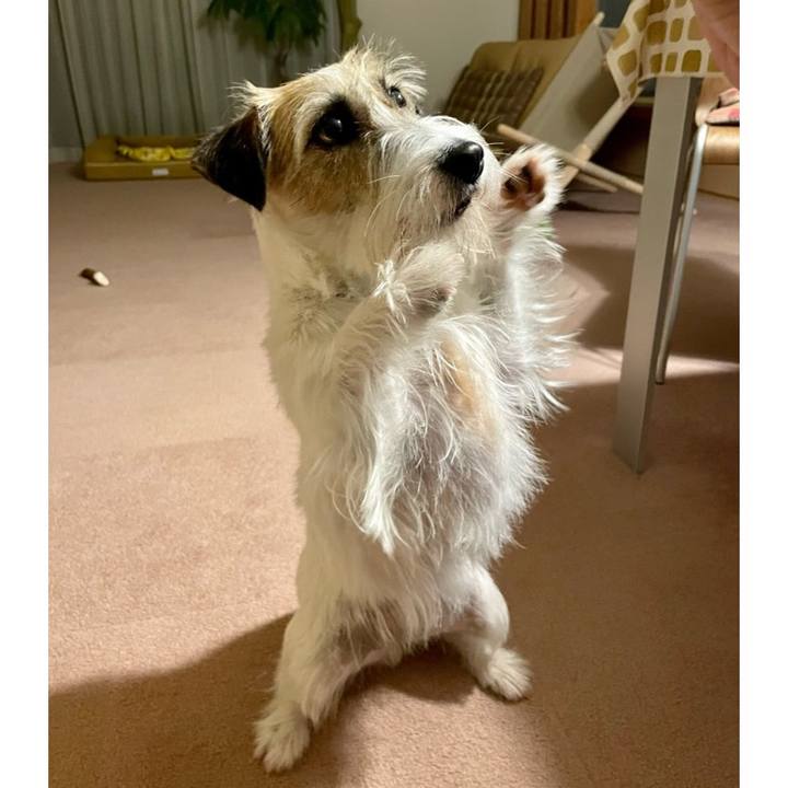 De87ec8e 1f82 436a 877a 7b161254a163 1654001189081