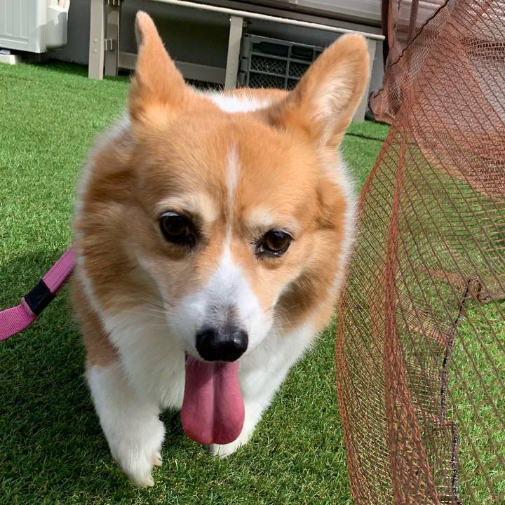 De884576 920e 4caa 99b1 bf11ca90821c 1723770312662