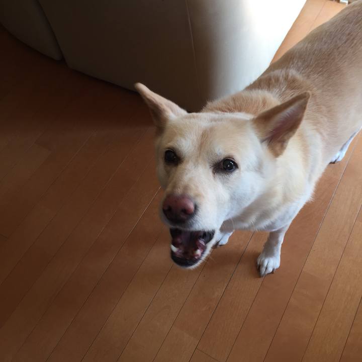 De888a90 79fe 4f2a a0b6 58e233848104 1519702707235