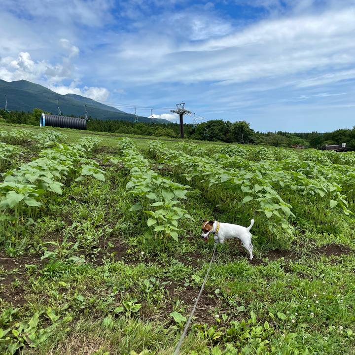 De88ff77 a709 4f5a acae 9d9cd48c8e17 1657017182547