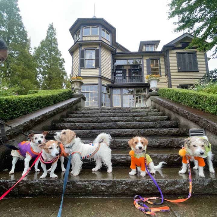 De8902ec 3717 43dd a07d ac8a97c53961 1761316903832