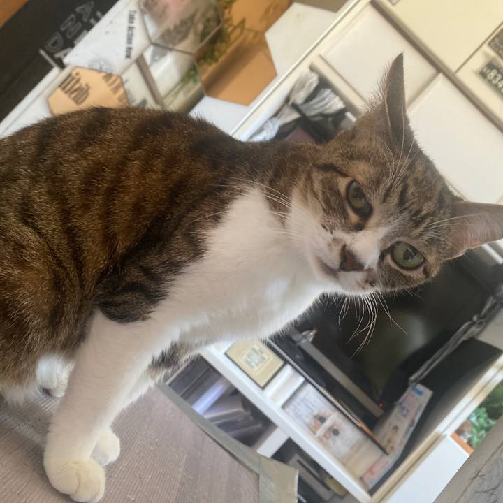 De890a2d f48d 4abb ae23 111daae15246 1685835022772