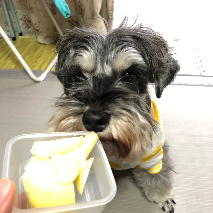 De89134f 4eff 4c05 800f 7855f1e2dd66 1577715254216