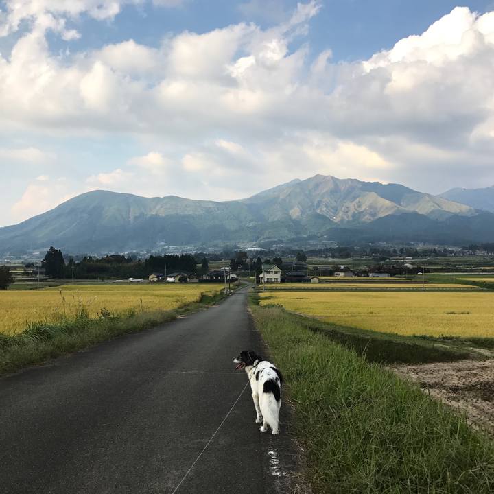 De8944eb 5e9a 4fb9 8cff ff6d48d4f075 1539093446623