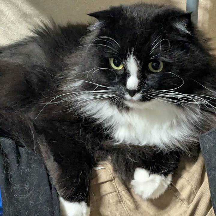 De895ace 720b 4431 9714 63730f9dc1ab 1745236806576