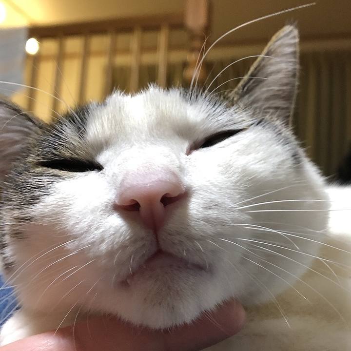 De89706b d267 41e1 b287 b5b5b8d0ce59 1643720990605