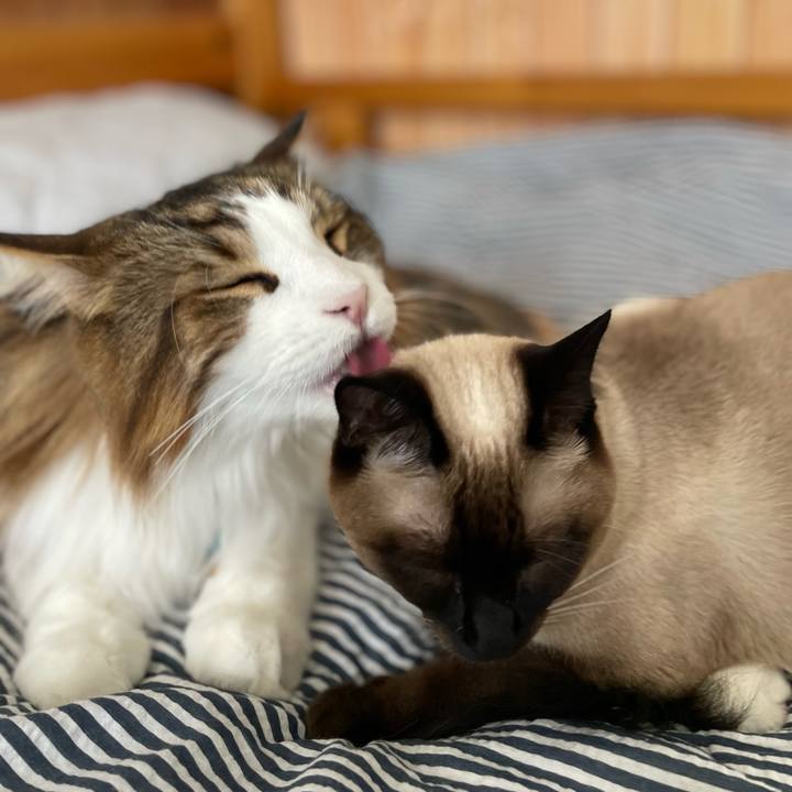 De8973fd 5258 47e5 aba4 baf028cb833d 1719648396688