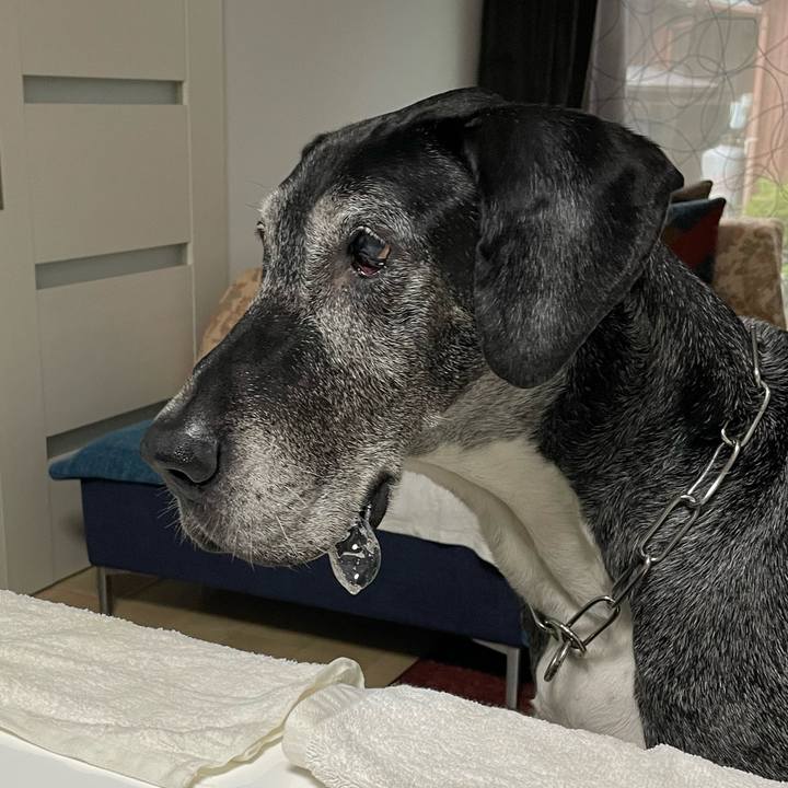 De89b49d f881 4127 9648 ea724ccd8b33 1657232349954