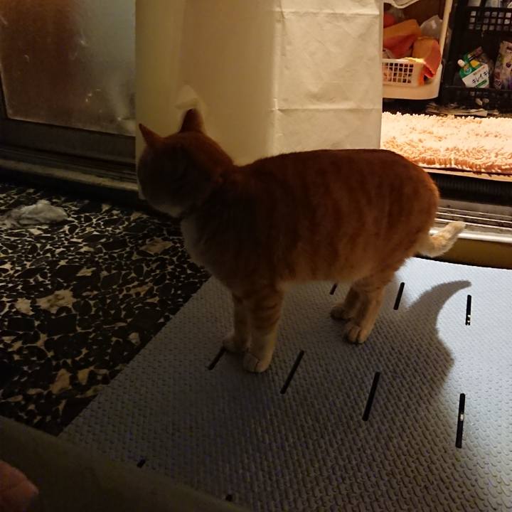 De89b615 60e7 423e bbd5 7431f137b4f1 1579264625117