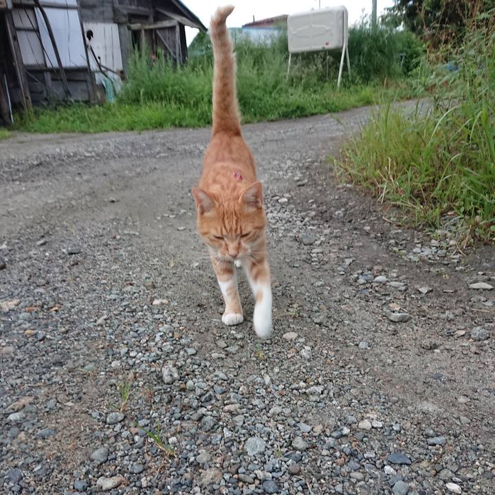 De89cdee 321d 4260 9eae b9ffef89a89a 1598910758309