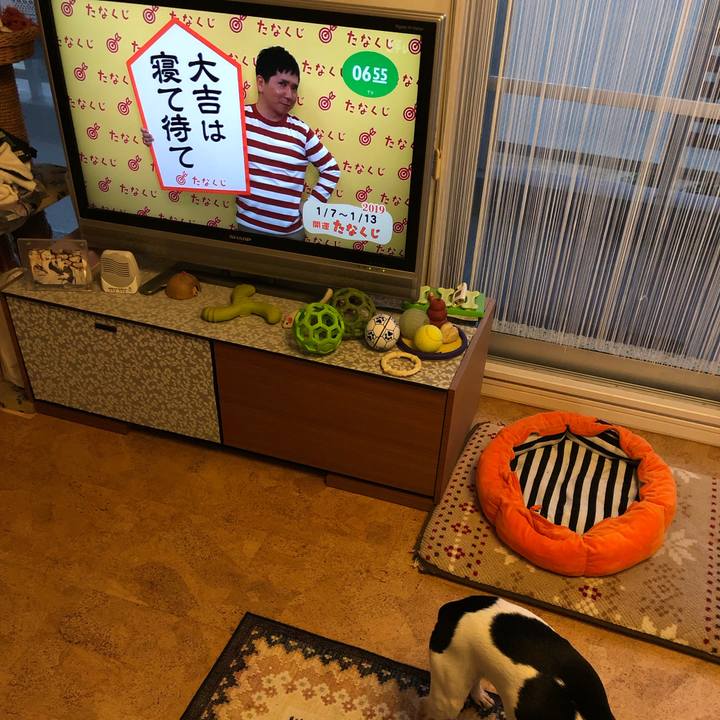 De8a010f 4e16 4f49 aa6b ef3ab6a42b71 1546813299786