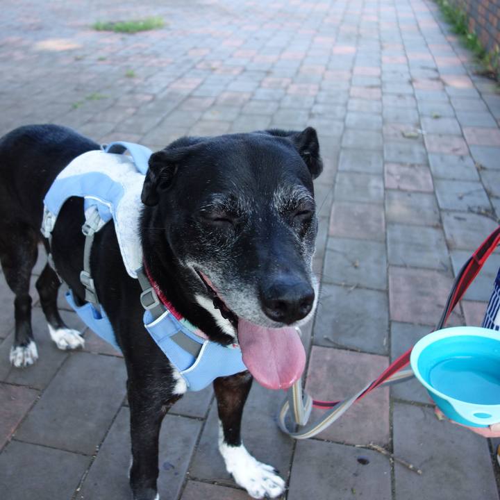 De8a1dd7 3988 40cd ad7c 7cd6b49d116d 1751329274754