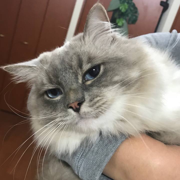 De8a22ef d897 494f 814b 1f2c788a33a0 1510411913438