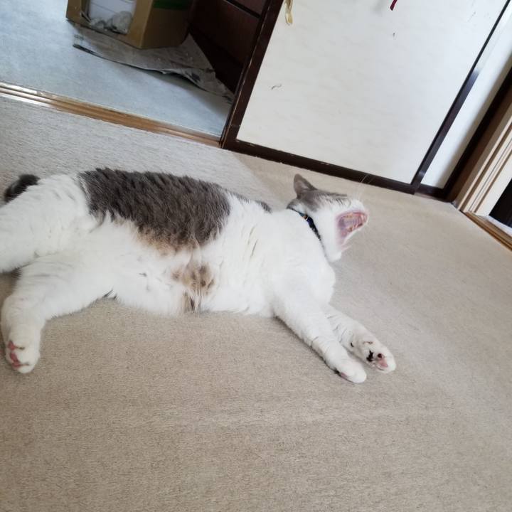 De8a3e04 599b 493c 9049 5d46d8bc3dde 1626266932559