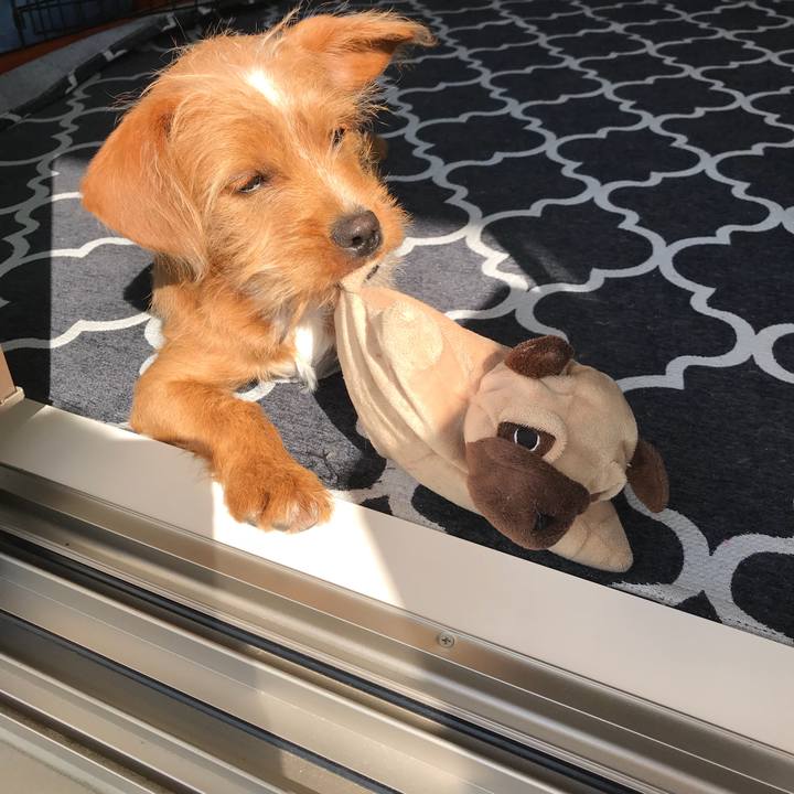 De8a3fa0 8bb5 46dd bae7 06fe2d587783 1523058197908