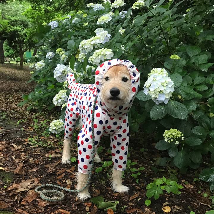 De8a5596 a6c6 4db0 8431 52a9cee835e4 1622766111543