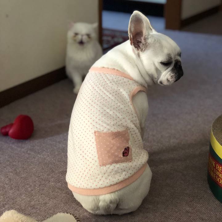 De8a663a 33da 414c 98b1 ec42c9da4139 1550989692602