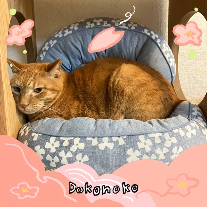 De8aa1e2 6533 446a 91c5 3e6c969bb091 1775268889215