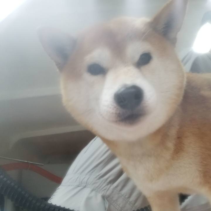 De8ac69b 7bca 4907 8e01 68700c9b2b10 1574927237664