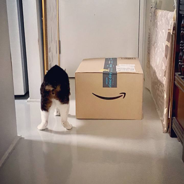 De8ac906 d1ee 442e 8cb8 f28eeb02d823 1623491049413